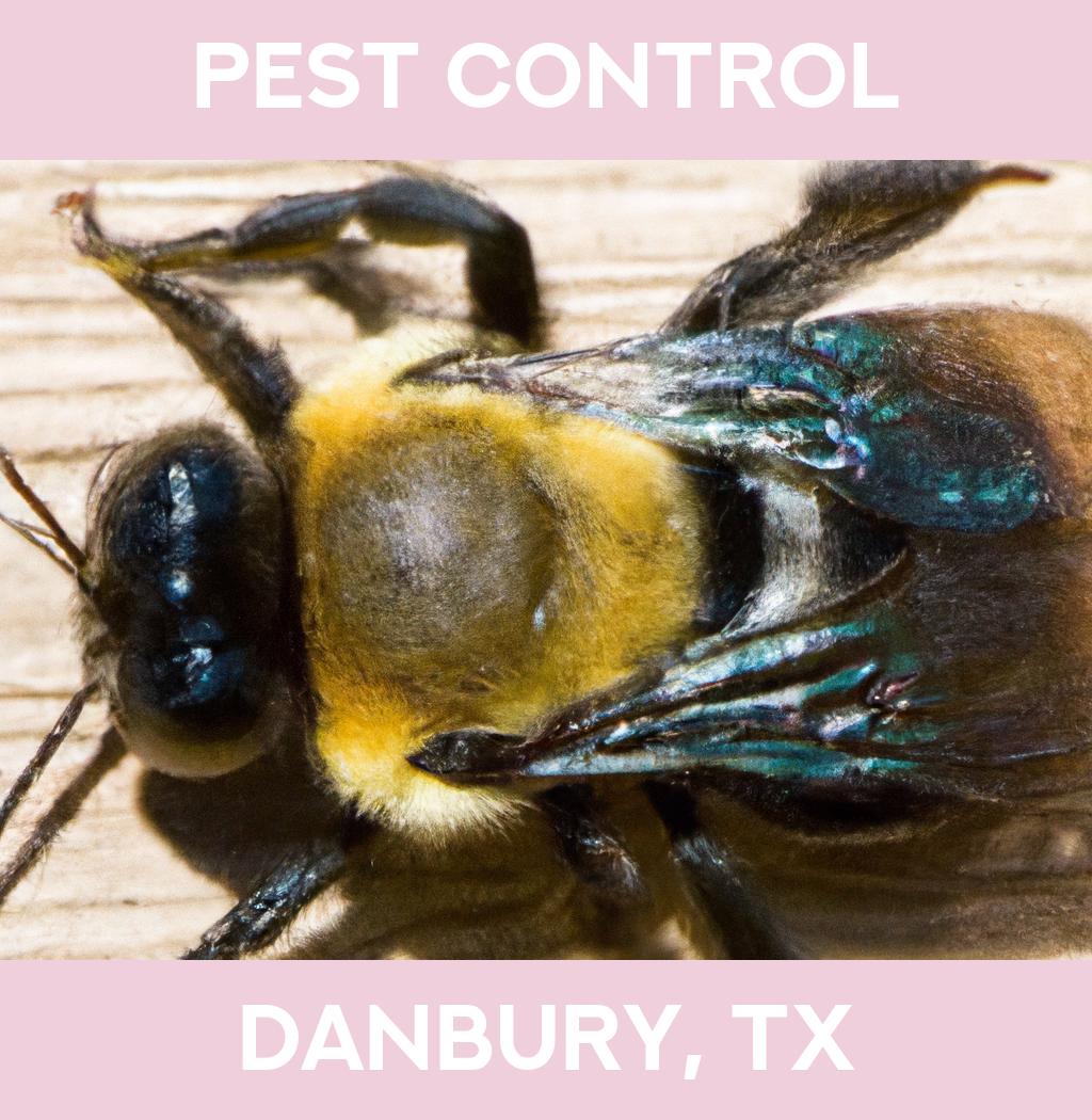 pest control in Danbury Texas