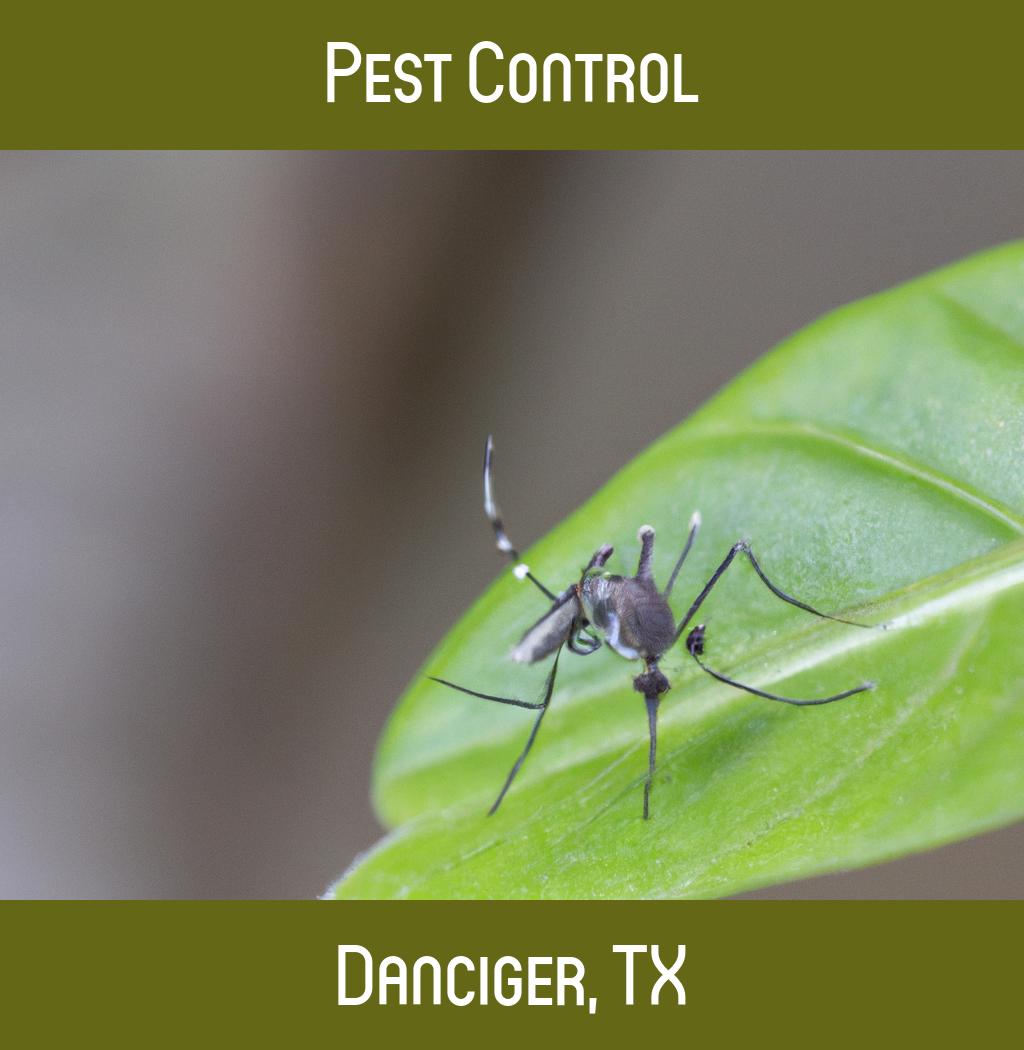 pest control in Danciger Texas