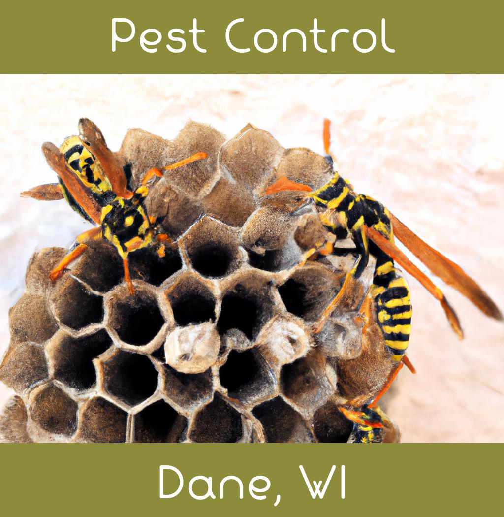 pest control in Dane Wisconsin