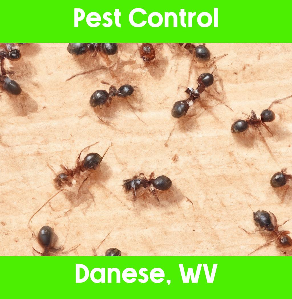 pest control in Danese West Virginia