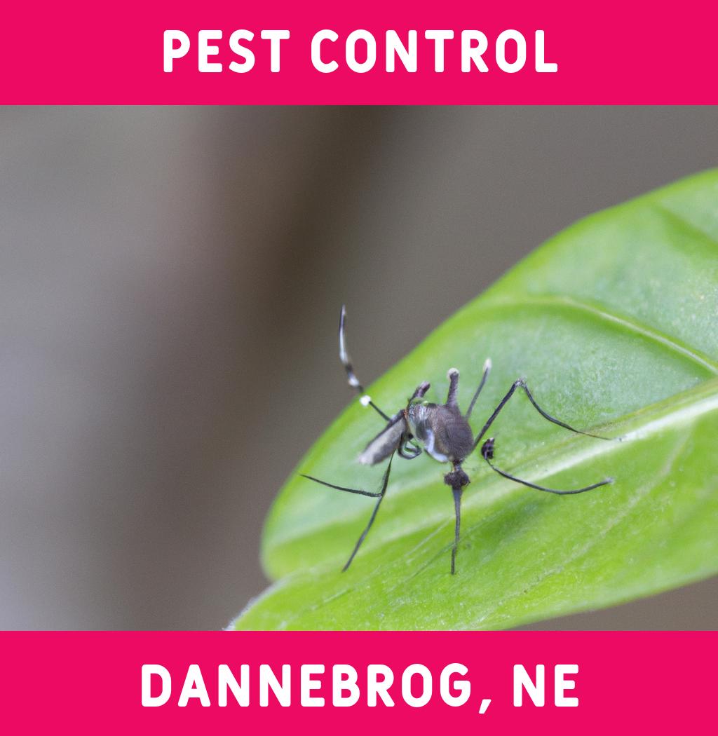 pest control in Dannebrog Nebraska