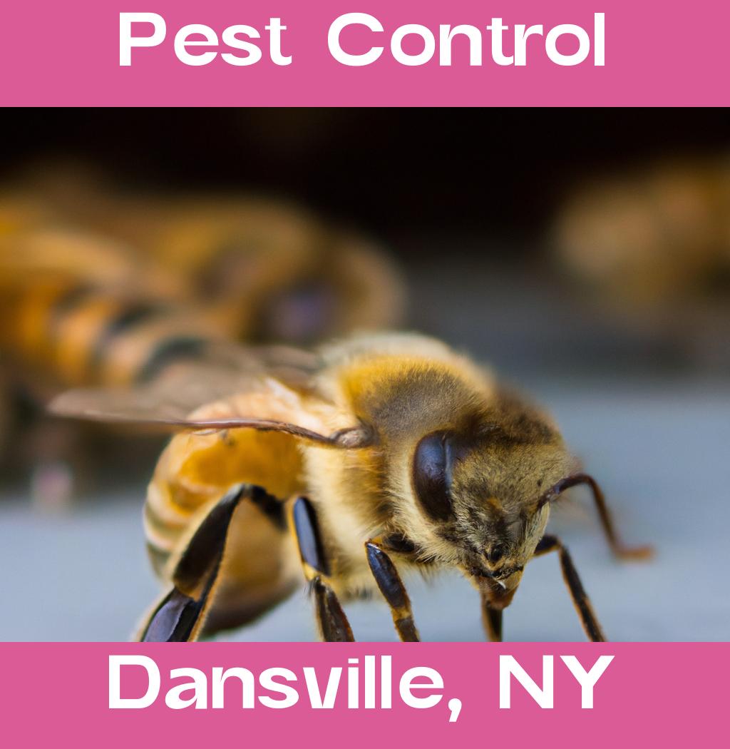 pest control in Dansville New York