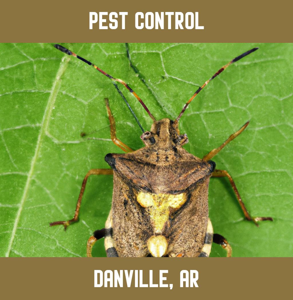 pest control in Danville Arkansas