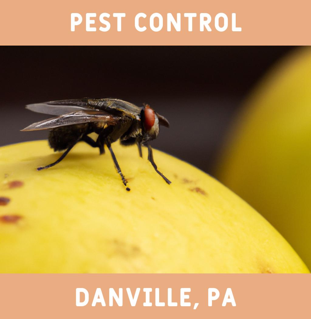 pest control in Danville Pennsylvania
