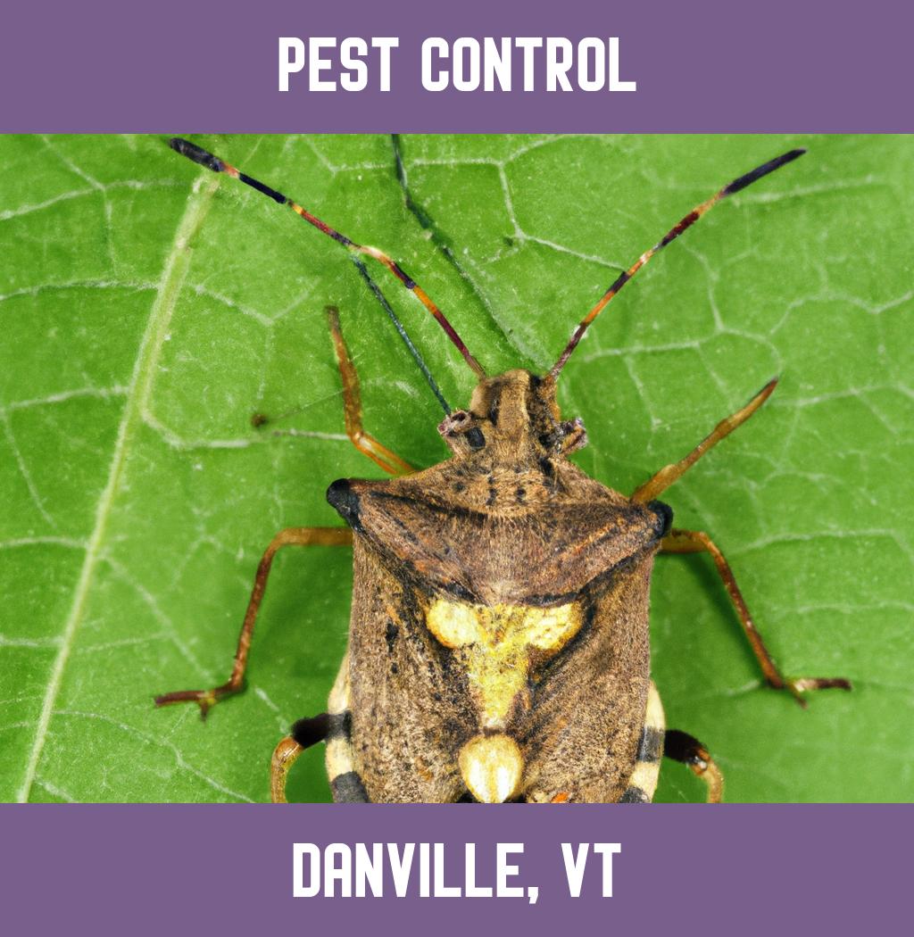 pest control in Danville Vermont