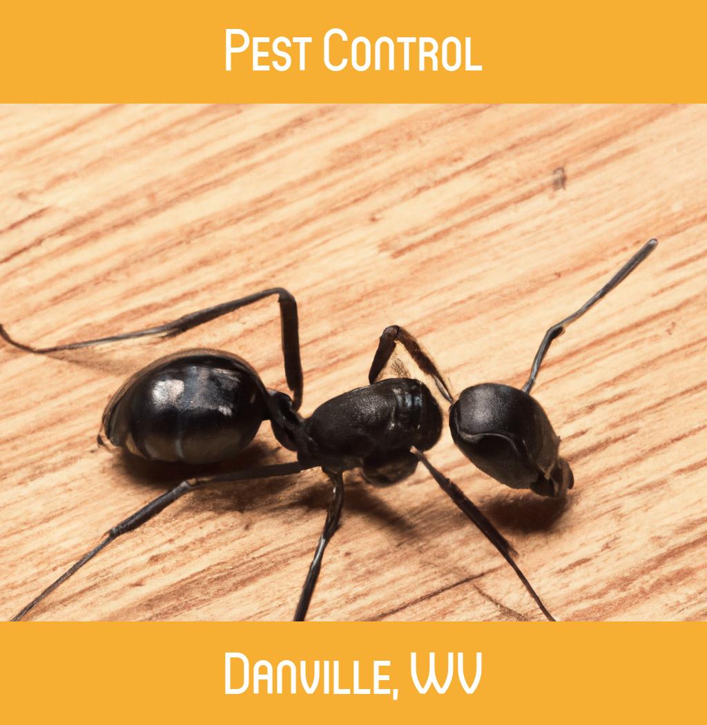 pest control in Danville West Virginia