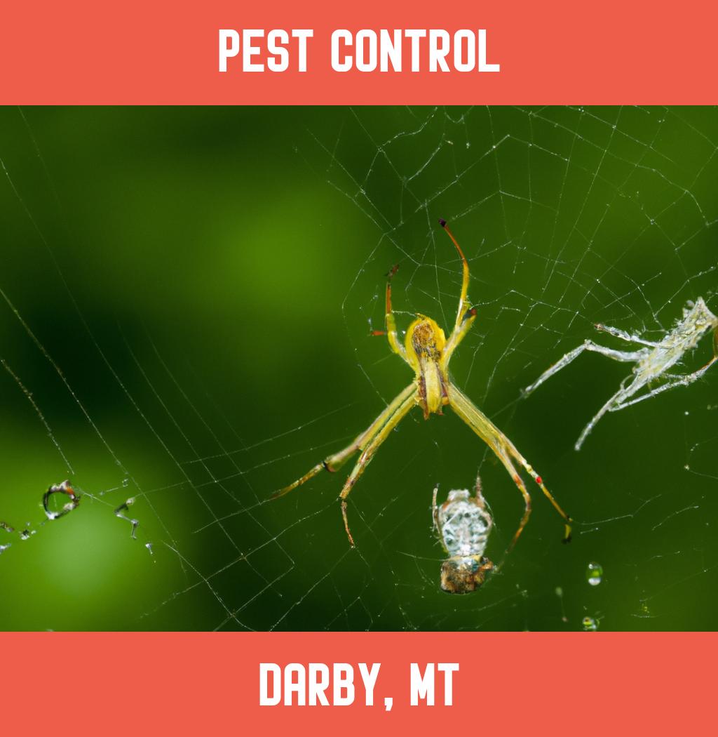 pest control in Darby Montana