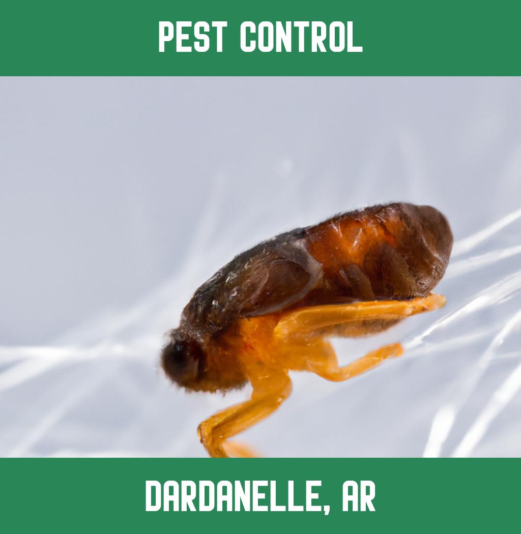pest control in Dardanelle Arkansas