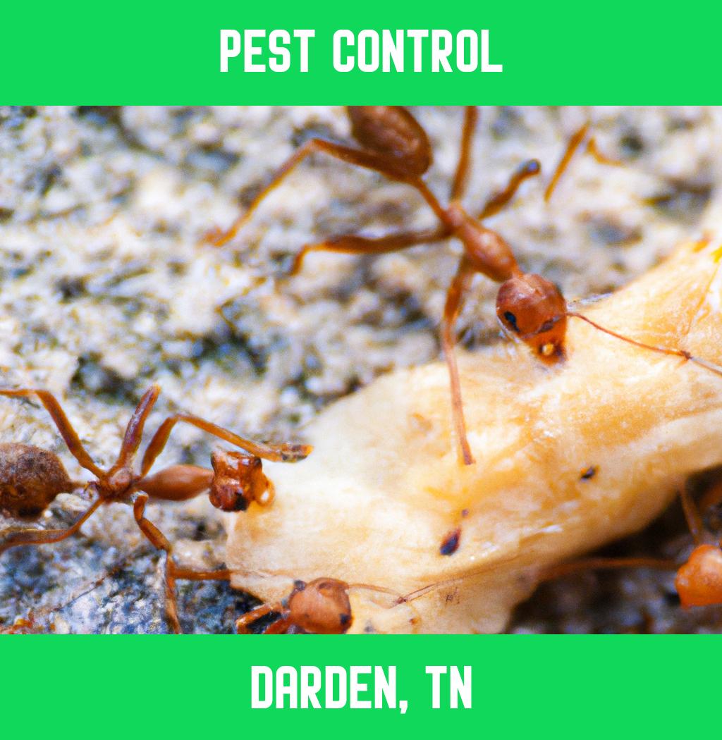 pest control in Darden Tennessee
