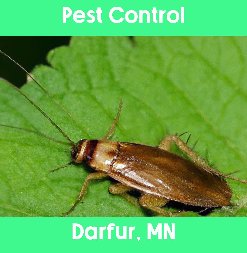 pest control in Darfur Minnesota