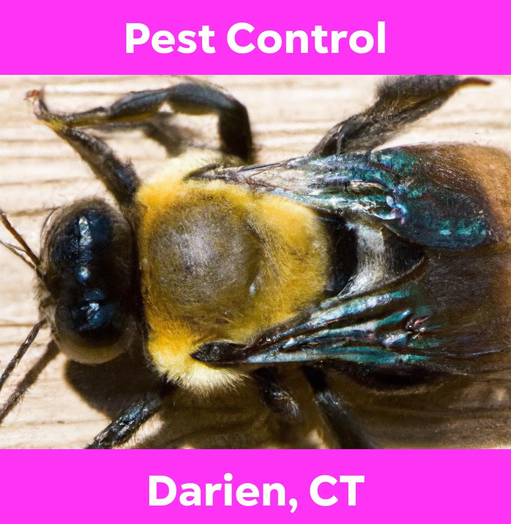 pest control in Darien Connecticut