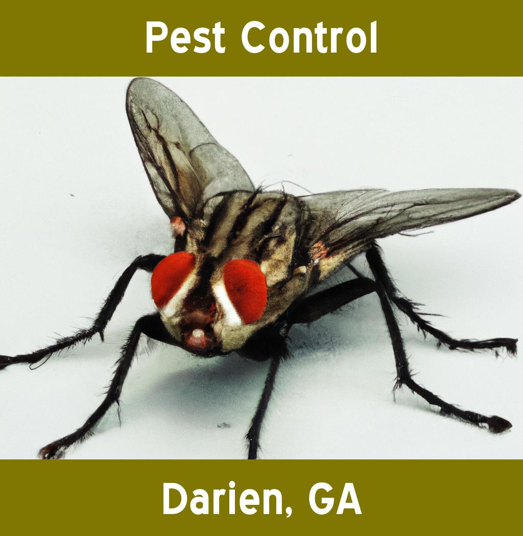 pest control in Darien Georgia