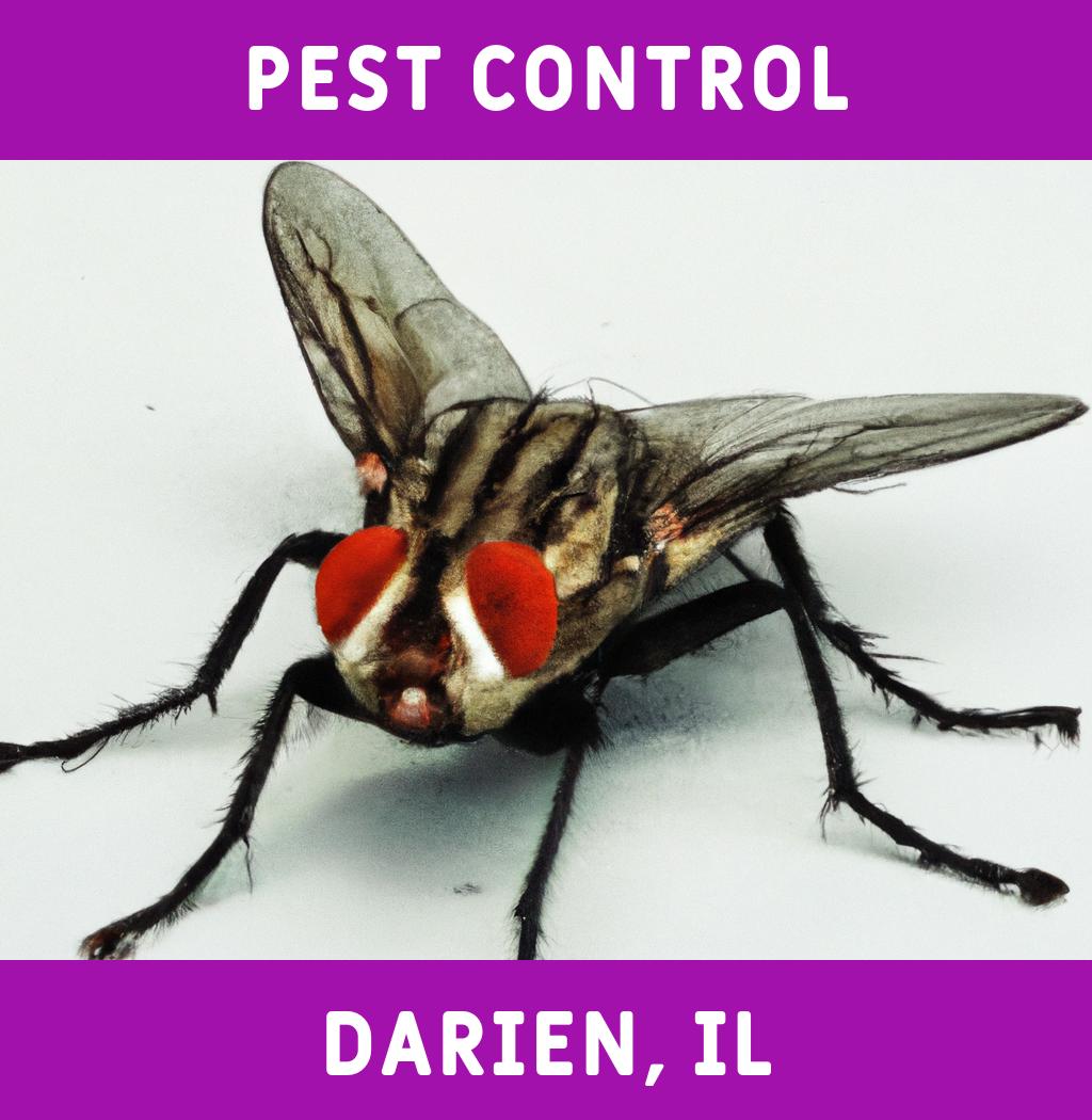 pest control in Darien Illinois