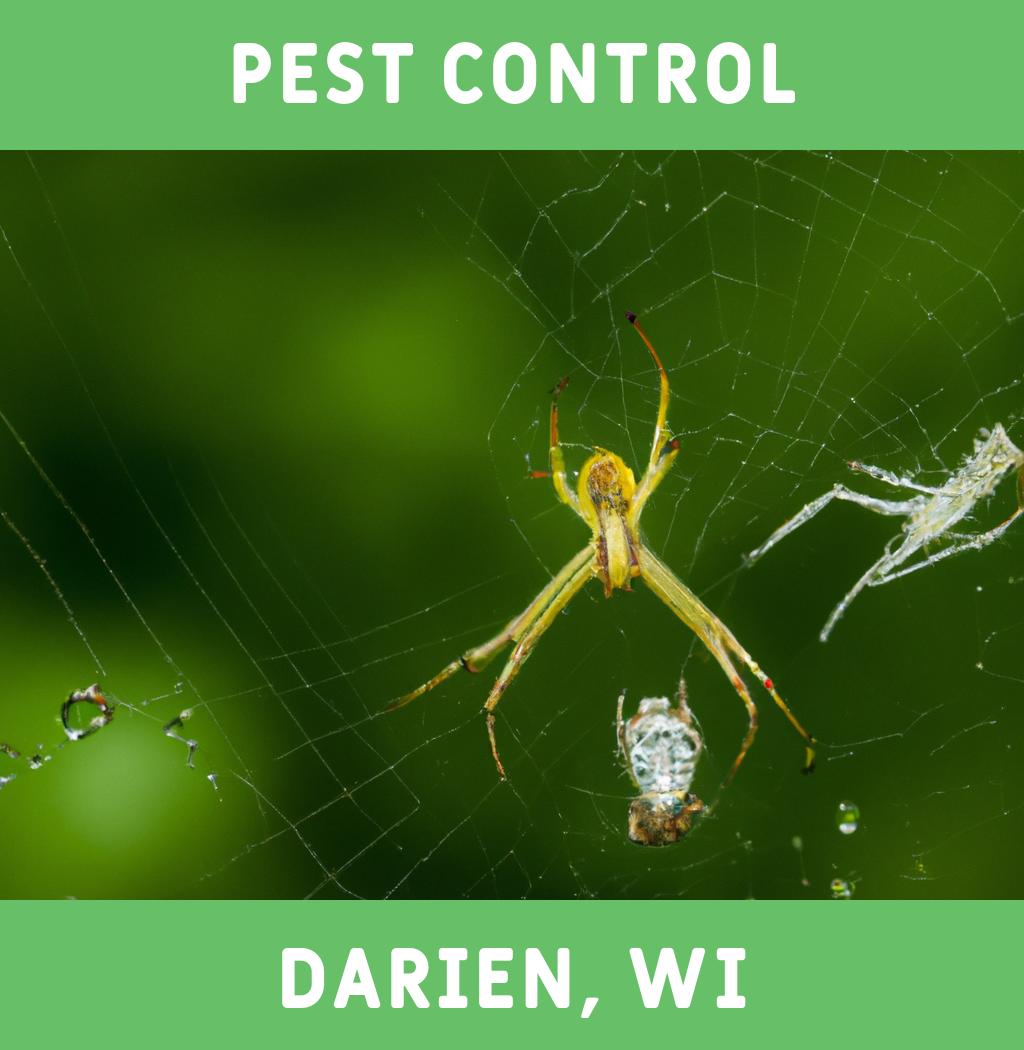 pest control in Darien Wisconsin