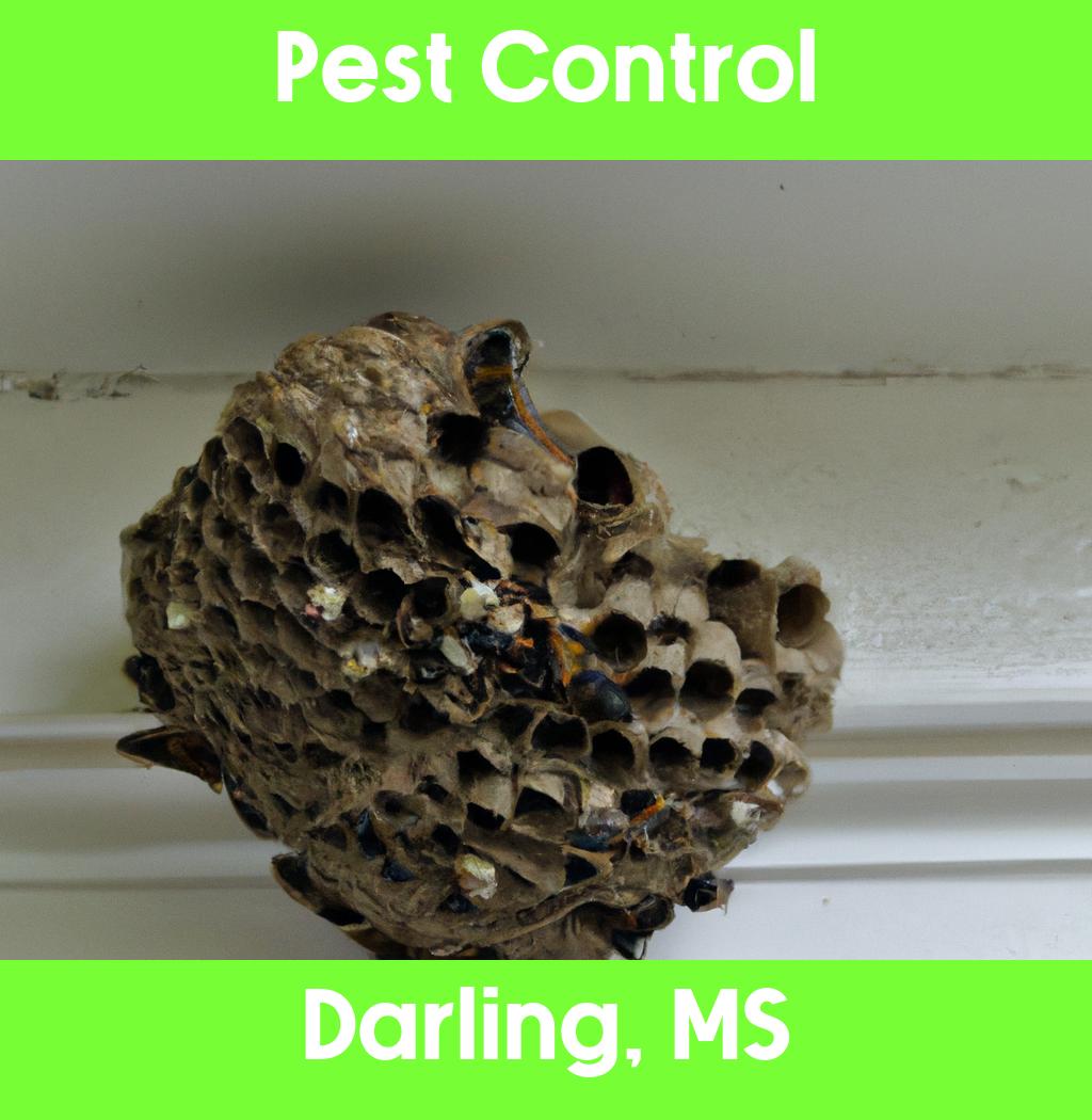 pest control in Darling Mississippi
