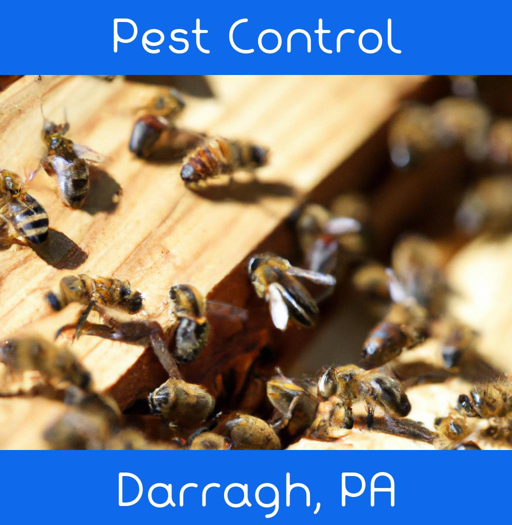 pest control in Darragh Pennsylvania