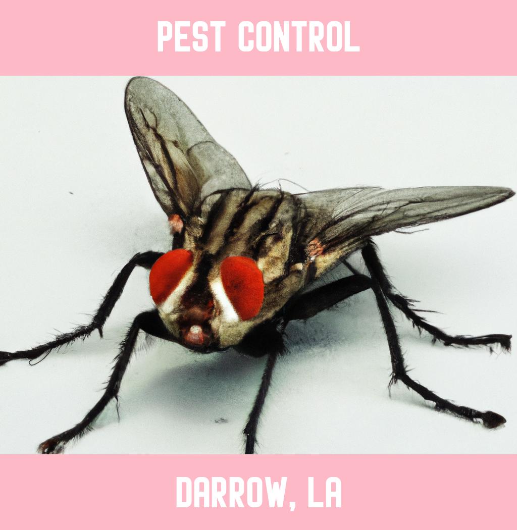 pest control in Darrow Louisiana