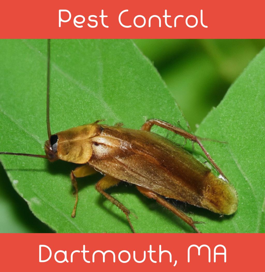 pest control in Dartmouth Massachusetts