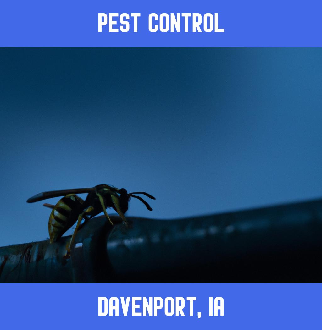 pest control in Davenport Iowa