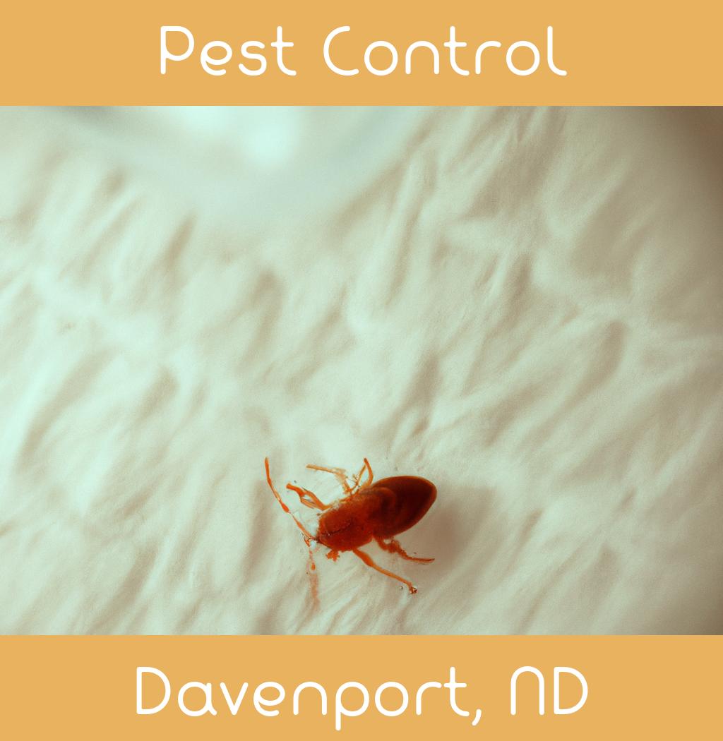 pest control in Davenport North Dakota