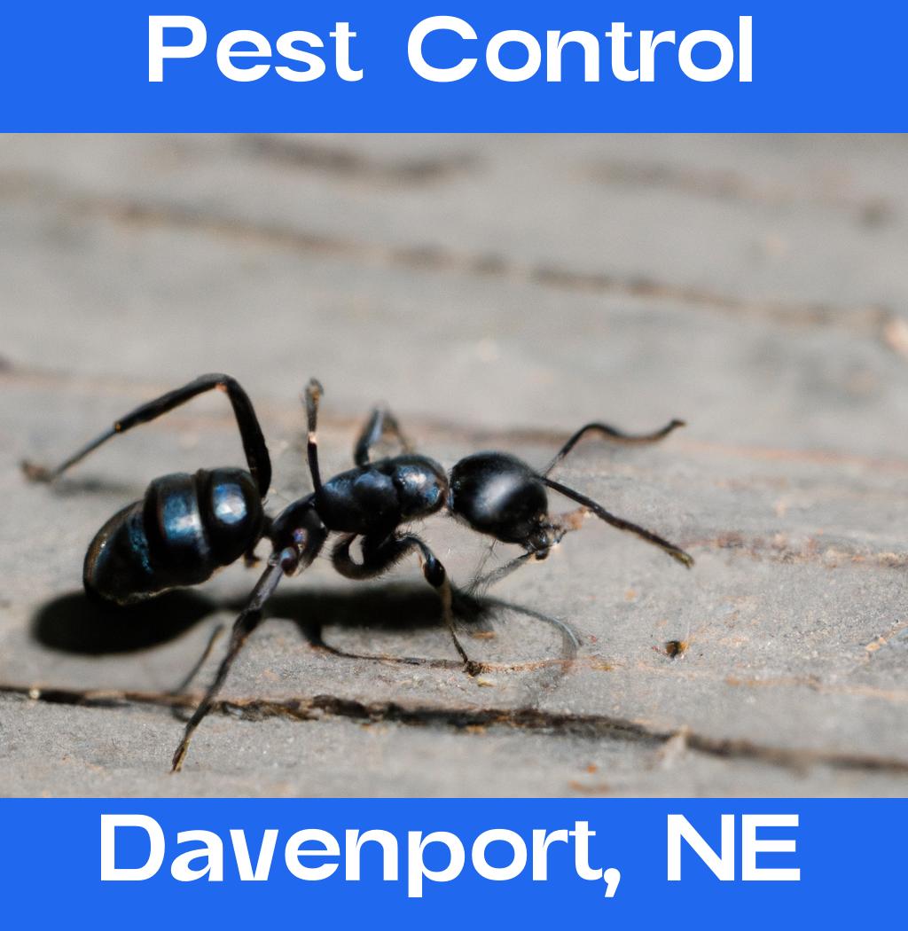 pest control in Davenport Nebraska