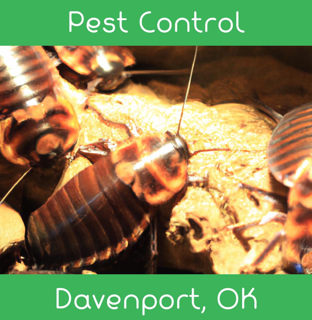 pest control in Davenport Oklahoma