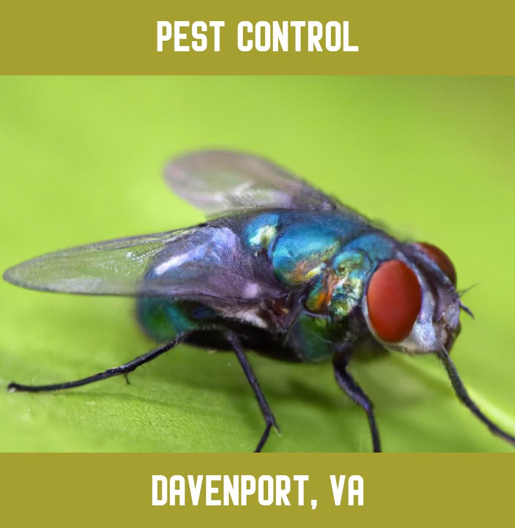 pest control in Davenport Virginia