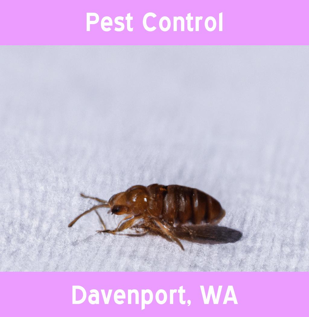 pest control in Davenport Washington