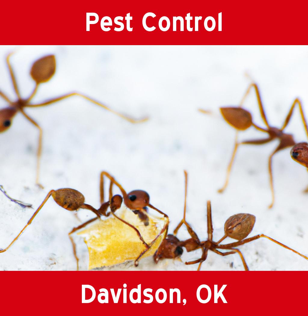 pest control in Davidson Oklahoma