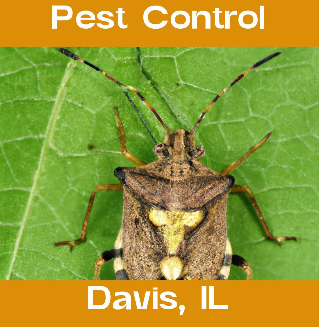 pest control in Davis Illinois