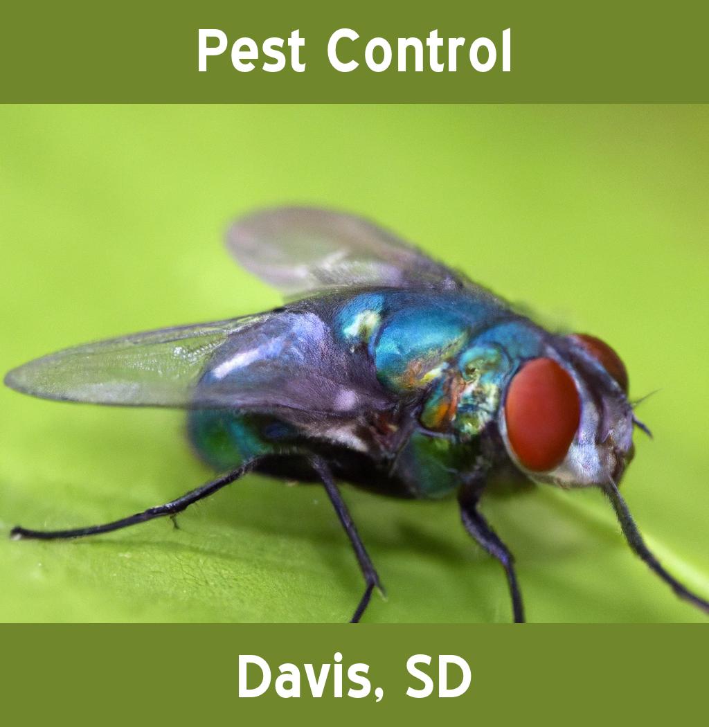 pest control in Davis South Dakota