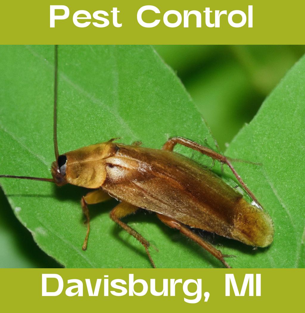 pest control in Davisburg Michigan