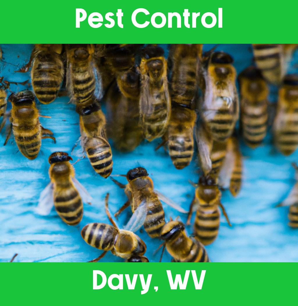 pest control in Davy West Virginia