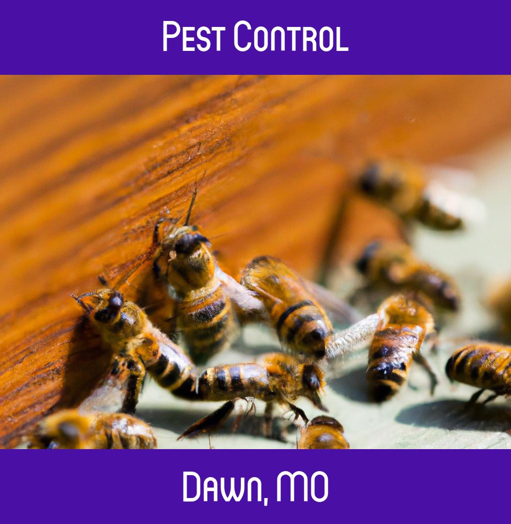 pest control in Dawn Missouri