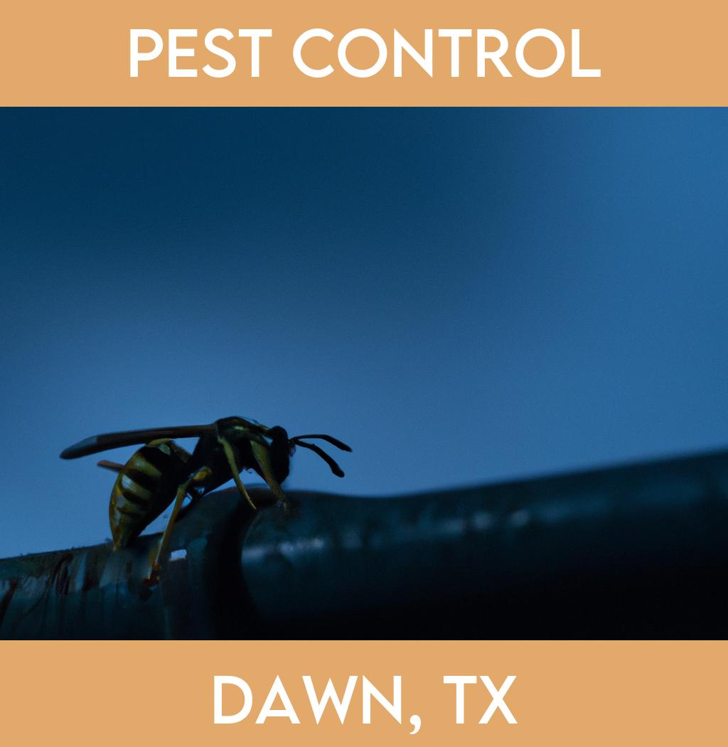 pest control in Dawn Texas