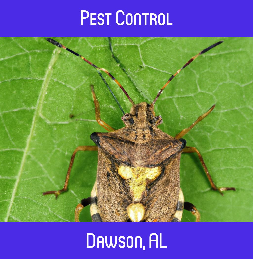 pest control in Dawson Alabama