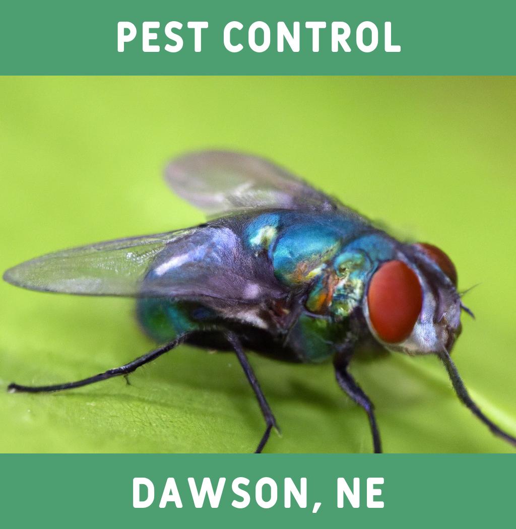 pest control in Dawson Nebraska