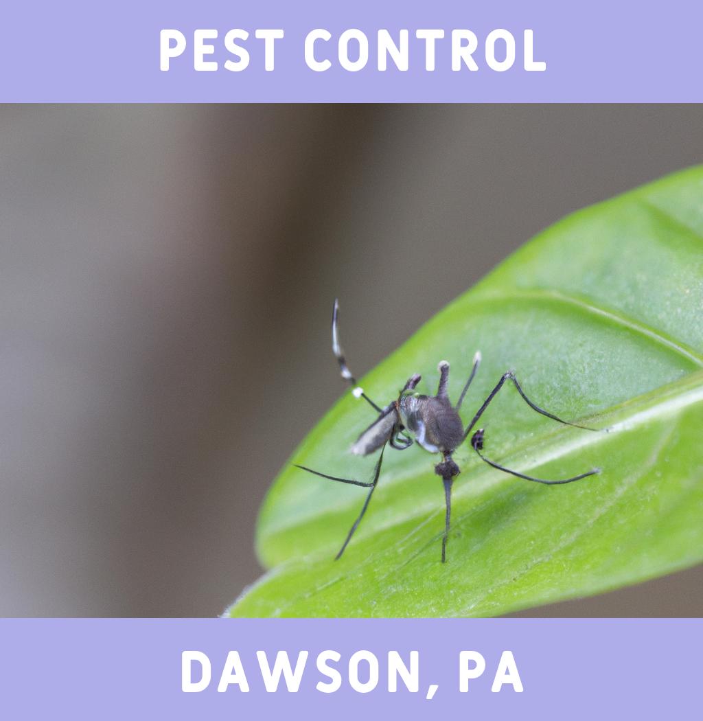pest control in Dawson Pennsylvania