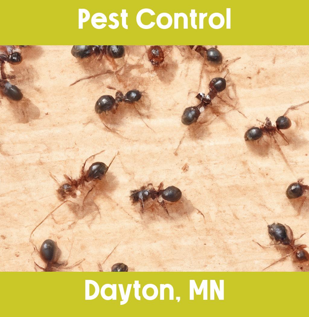 pest control in Dayton Minnesota