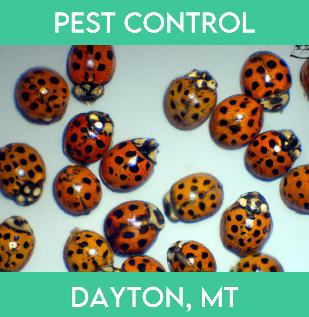 pest control in Dayton Montana