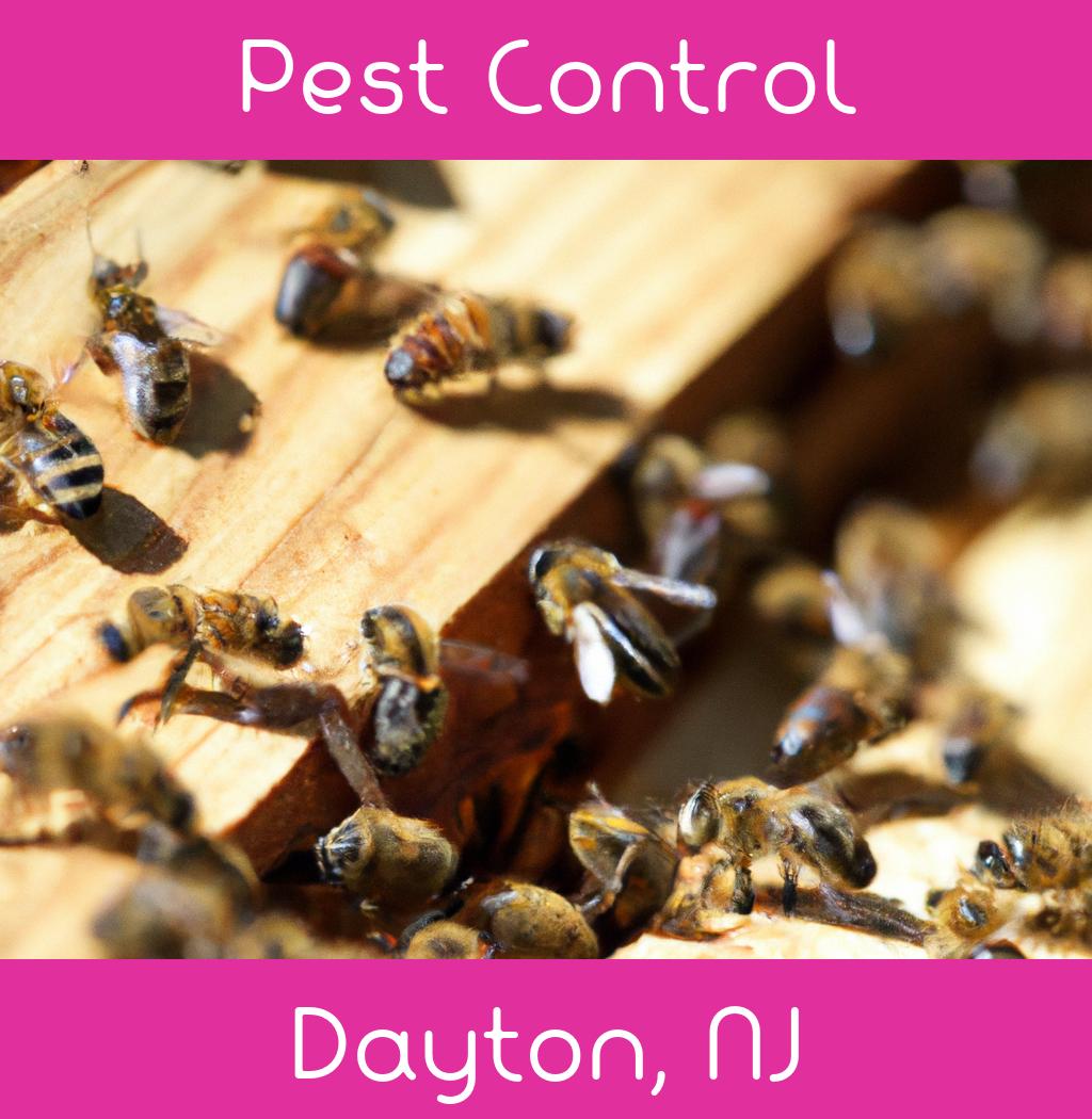 pest control in Dayton New Jersey