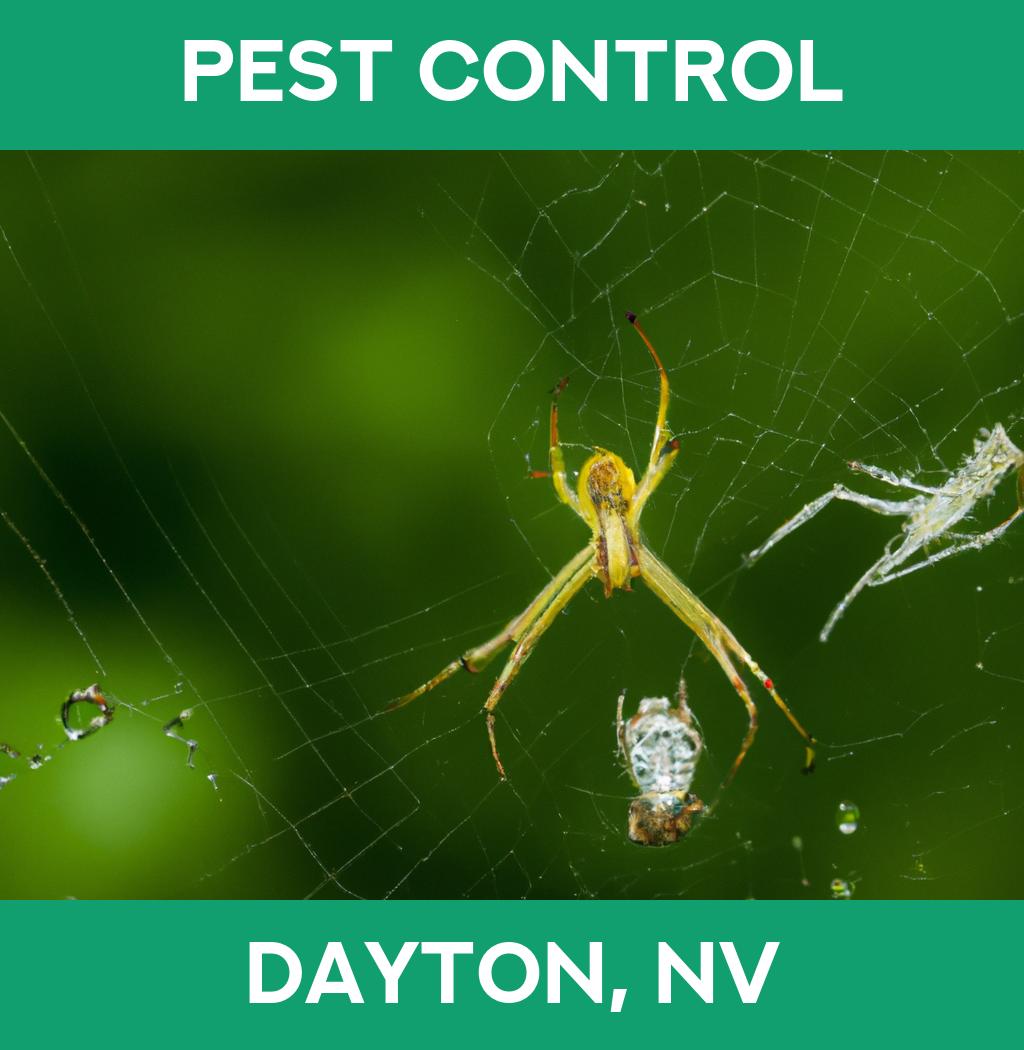 pest control in Dayton Nevada