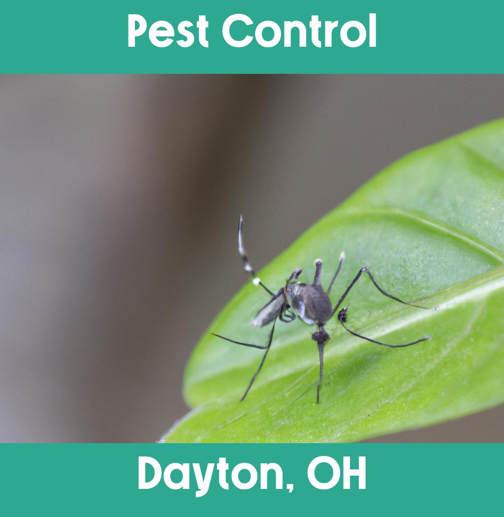 pest control in Dayton Ohio