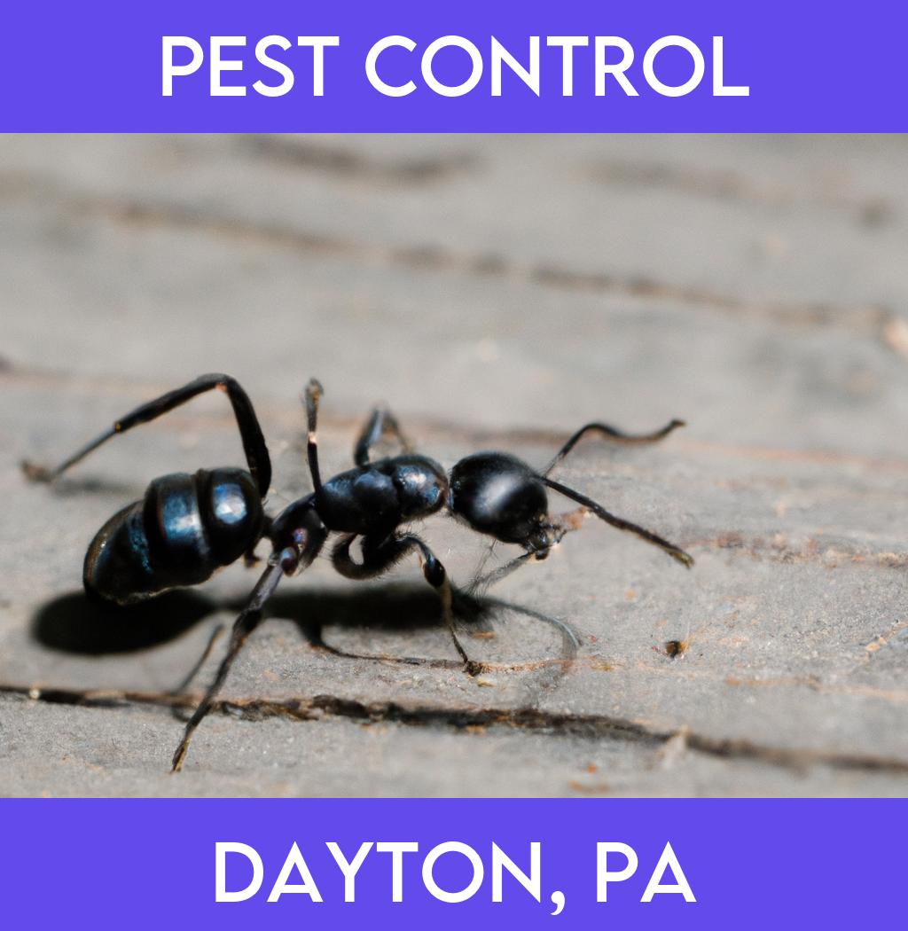 pest control in Dayton Pennsylvania