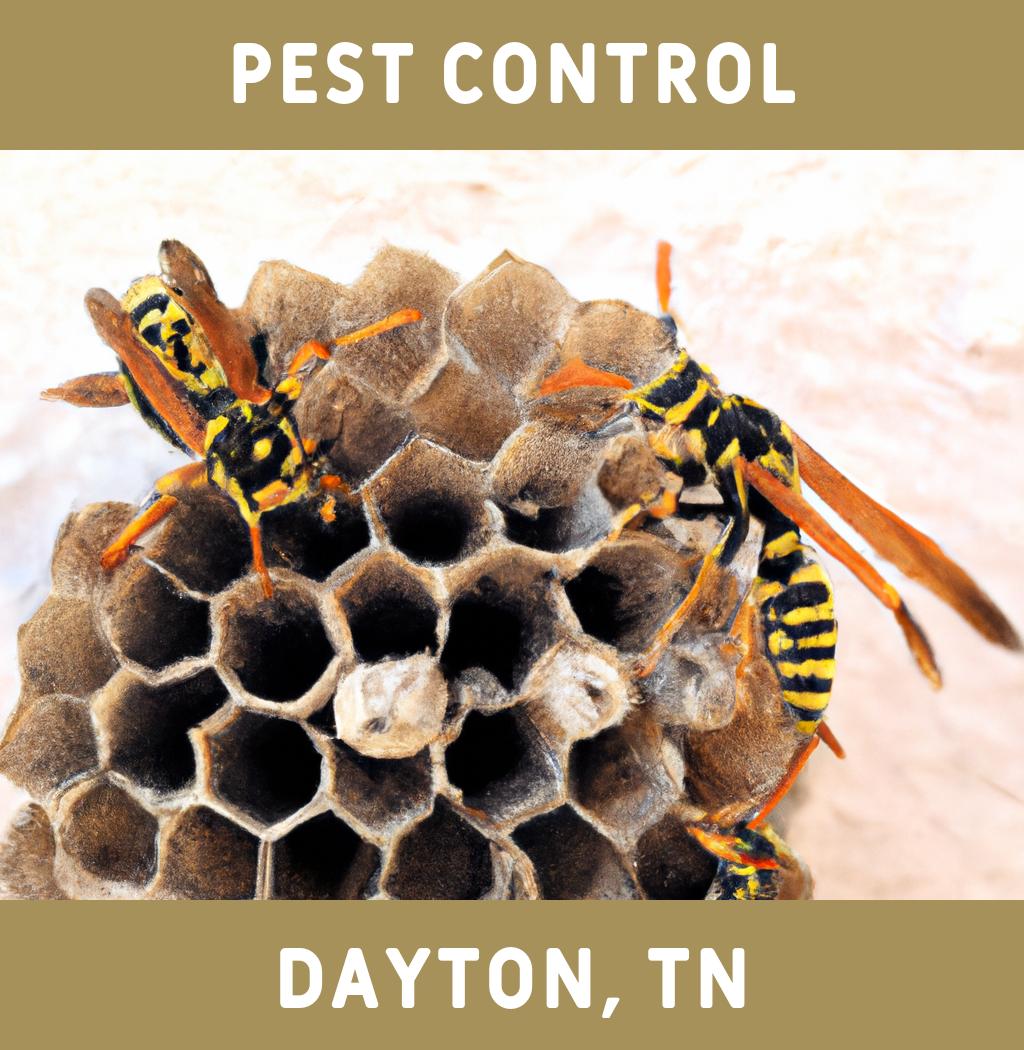 pest control in Dayton Tennessee