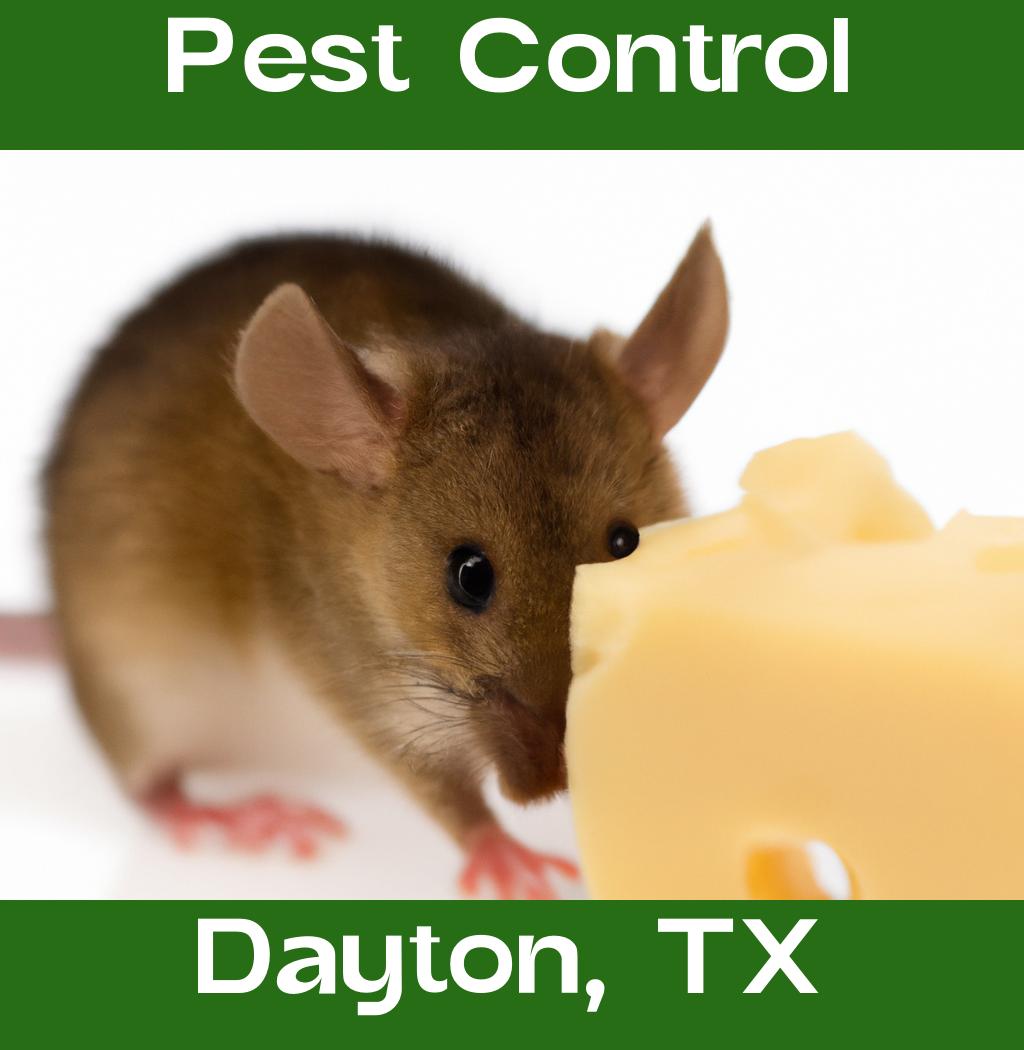 pest control in Dayton Texas