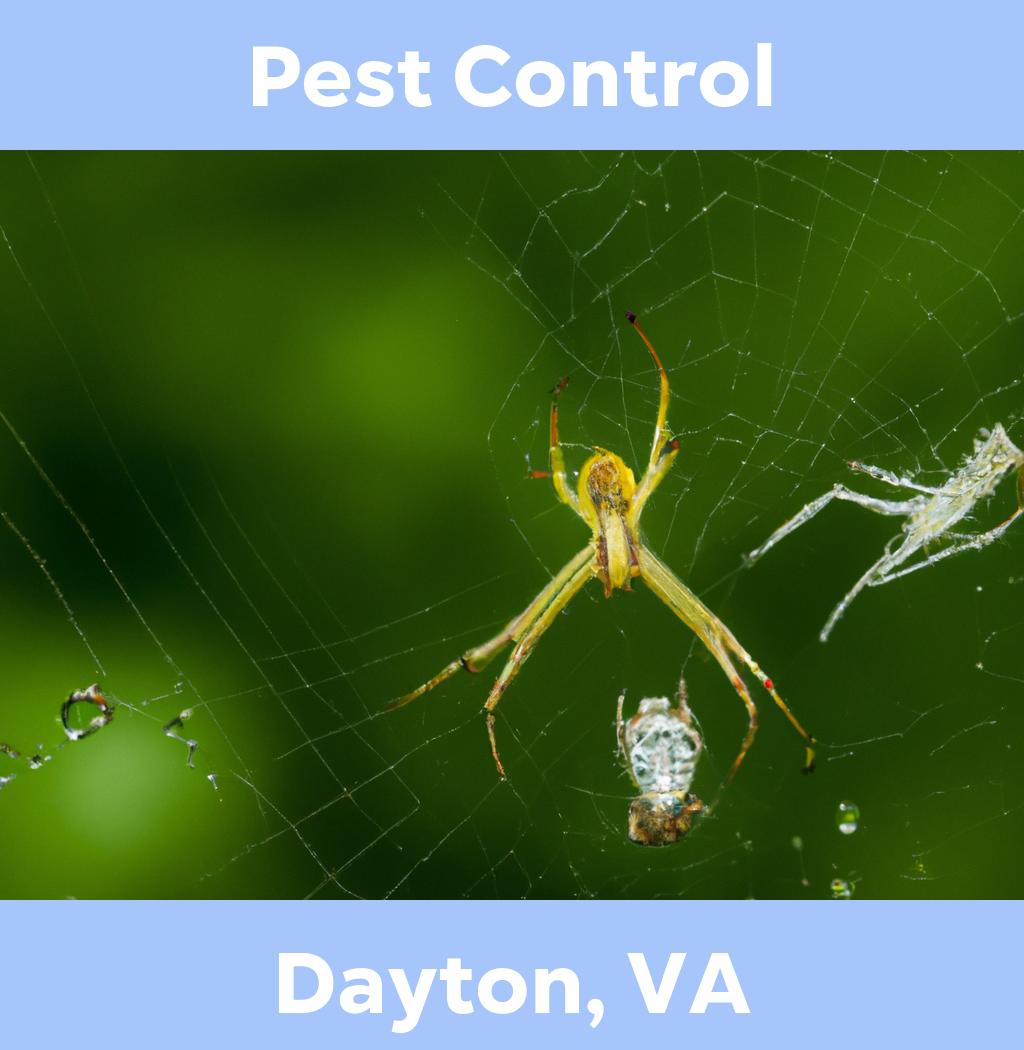 pest control in Dayton Virginia