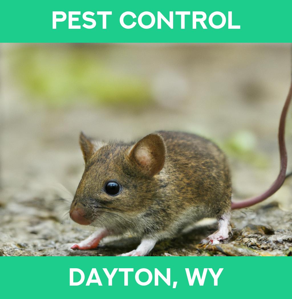 pest control in Dayton Wyoming