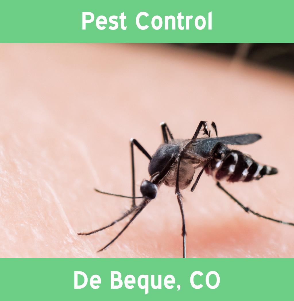 pest control in De Beque Colorado