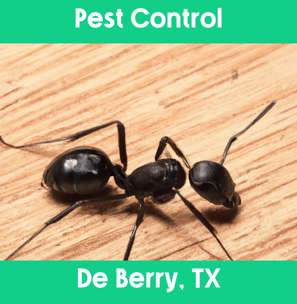 pest control in De Berry Texas
